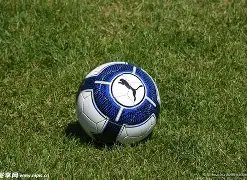 乔帅有望回,归男篮,张镇麟赴美,杏彩体育平台官网入口,杏彩体育官方网站,杏彩体育平台首页官网入口,杏彩体育app最新版下载