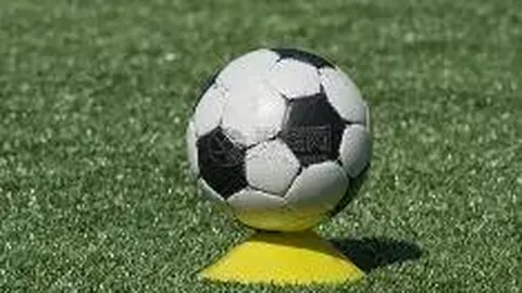 德约科维奇夫妇二次病毒检测结果均为阴性