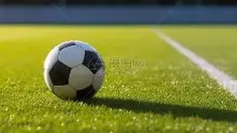 日照队荣耀征途，日照蓝映照齐鲁绿茵传奇：城市的体育梦想之旅