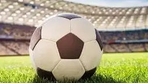 杏彩体育官方网站 资讯 104714 6fw